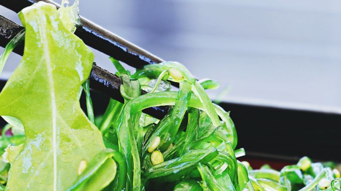 Algues comestibles vertes (wakame) dans une assiette noire avec des baguettes asiatiques noires.