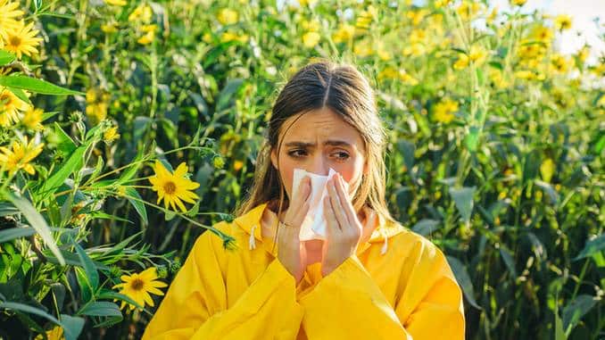 Les 8 meilleurs antihistaminiques naturels pour soulager l'allergie