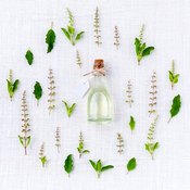 Un flacon d'huile essentielle couché au milieu de plantes vertes