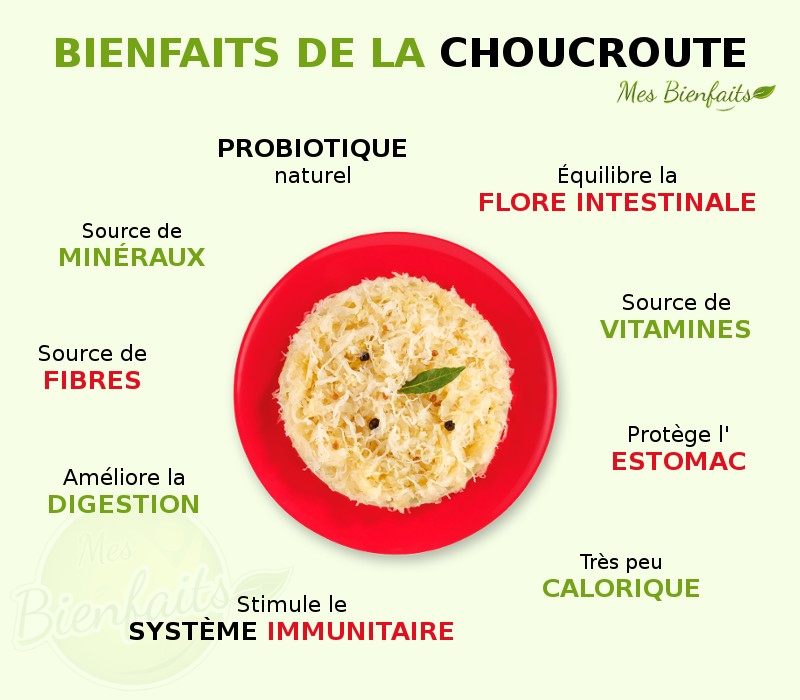 Infographie sur les bienfaits de la choucroute : choucroute au centre avec les bienfaits autour