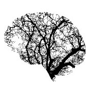 Aubépine et fonctions cognitives : un cerveau créée à partir des branches d'un arbre. Le cerveau arbre est noir sur fond blanc.