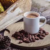 Une tasse de chocolat chaud à base de cacao cru. On aperçoit des fèves de cacao devant la tasse blanche.