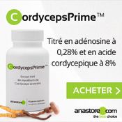 Un flacon de complément alimentaire à base de cordyceps sur un fond de différentes teintes de gris. Il y a des cordyceps sinensis entiers posés devant le produit. 