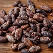 Fèves de cacao crues sur une table en bois