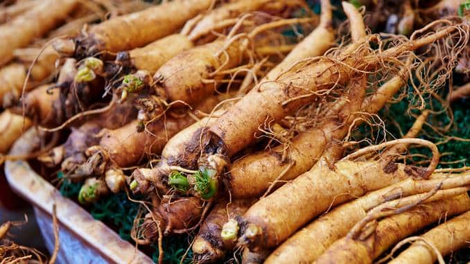 Racines de ginseng exposées dans un marché chinois