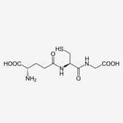 Molécule chimique de glutathion