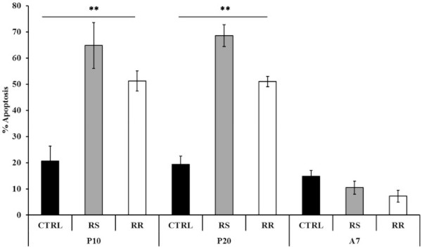 Graphique représentant le pourcentage % Apoptosis en fonction du traitement (avec ou sans rhodiola), en différenciant la rosavine et le salidroside, les deux substances actives principales de la rhodiole.