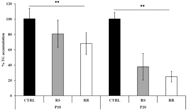 Graphique représentant le taux de triglycérides en fonction du traitement : rhodiola ou sans rhodiola. Les deux principes actifs de la rhodiole sont étudiés : la rosavine et le salidroside (RR et RS dans le graphique en barres).