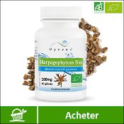 Harpagophytum bio : boite de compléments alimentaires (gélules) de la marque française Dynveo. Fond blanc avec la plante en arrière plan, derrière la boite. La mention acheter est sur fond vert, en bas de l'image.