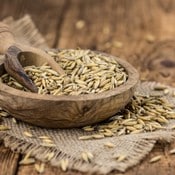 Grains de Kernza dans un bol et sur une table en bois