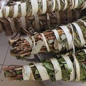 Rouleaux de feuilles séchées de kinkéliba