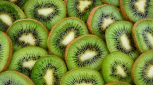 Rondelles de kiwi