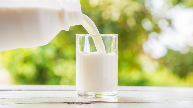 Verre de lait riche en lactoferrine, posé sur une table bois à l'extérieur. On aperçoit une bouteille de lait et des arbres dans le fond.