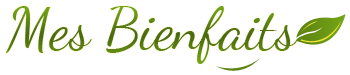 Logo du site Mes Bienfaits avec feuille verte