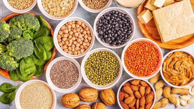 Protéines végétales : aliments protéinés d'origine végétale disposés dans des bols et assiettes. Légumineuses, céréales, oléagineux, etc.