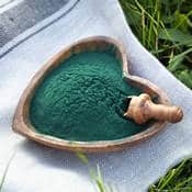 Spiruline en poudre présentée dans un bol en forme de cœur posé sur un torchon dans l'herbe. Il y a une cuillère en bois dans le bol.