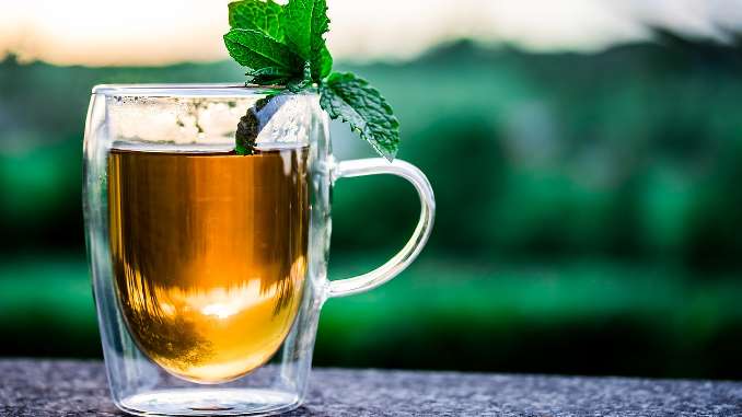 Tasse de thé avec feuilles de menthe sur le bord. Fond de verdure flou.