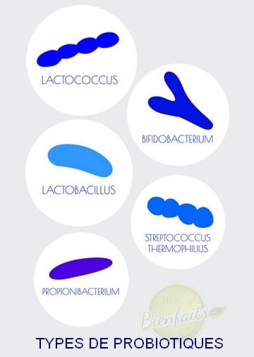 Probiotiques : différents types représentés par leur forme